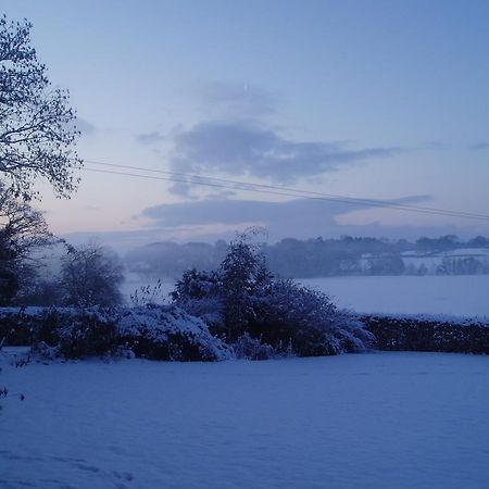 Bach Y Graig Hotell St Asaph Eksteriør bilde