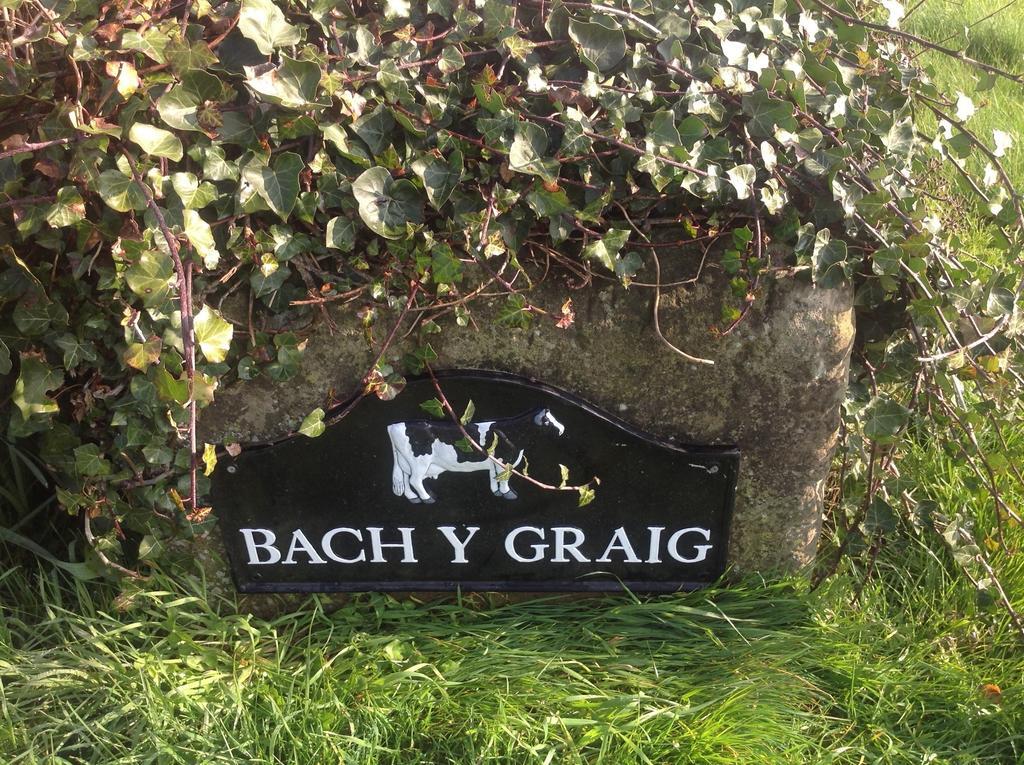 Bach Y Graig Hotell St Asaph Eksteriør bilde