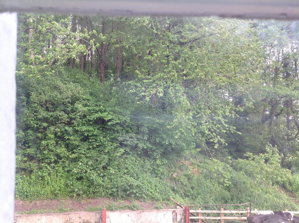 Bach Y Graig Hotell St Asaph Rom bilde