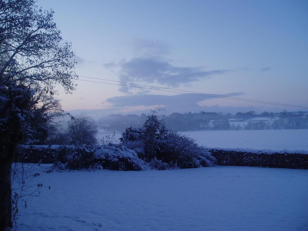 Bach Y Graig Hotell St Asaph Eksteriør bilde