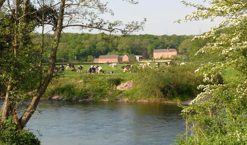 Bach Y Graig Hotell St Asaph Eksteriør bilde